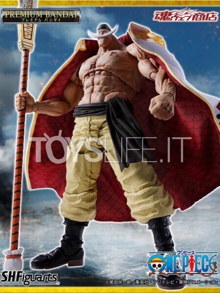 bandai-one-piece-edward-newgate-marineford-sh-figuarts-toyslife-icon